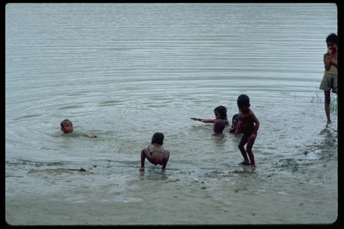Children playing in pond in Bangladesh.  Defecating in water is a frequent cause of disease transmission.: Shigellosis, the archetype of a disease resulting from poor personal and environmental hygiene and sanitation, causes an estimated more than 1,000,000 deaths a year. It was the second most common cause of diarrhea among U.S. military personnel during the recent Iraq war.  From Michael L. Bennish and M. John Albert, “Shigellosis,” chapter in "Water and Sanitation Related Diseases and the Environment: Challenges, Interventions and Preventive Measures."